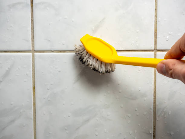 Best Fast Mold Removal  in Midway, GA